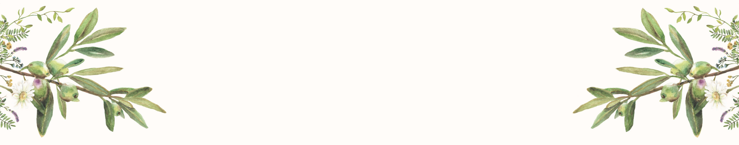 Ilustraciones laterales